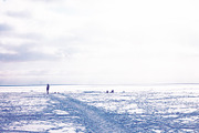 Winter Stock Photos Pack, a Nature Photo by NViolet (Thumbnail 4 of 5)
