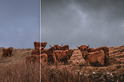 LR Presets Bundle (Desktop & Mobile), an Action Add-On by PhotoMarket (Thumbnail 21 of 36)