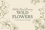 Sketchy Pencil Drawing Wildflowers, an Illustration by elpple (Thumbnail 1 of 7)