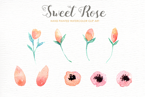 Sweet Rose Watercolor Clipart