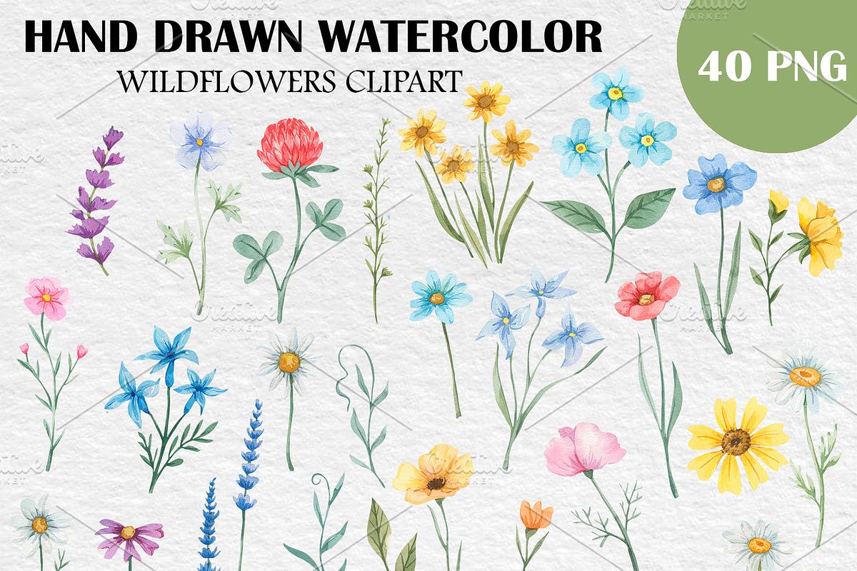 Wildflower Watercolor Clipart PNG, a Decorative Illustration by PatternPalette (Photo 2 of 4)