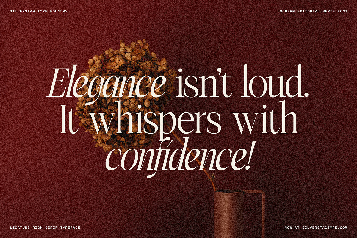 The Elfkin Editorial - Modern Serif, a Serif Font by SilverStag Type Foundry (Photo 13 of 20)