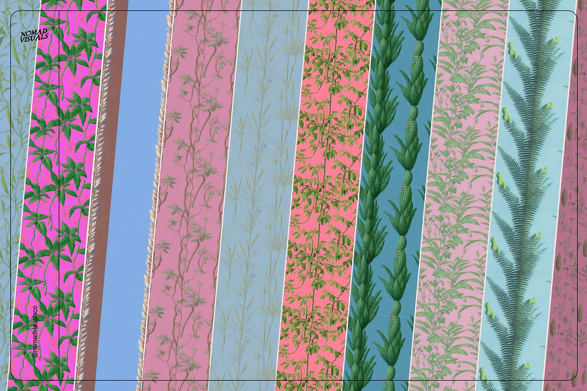 Botanical Surrealism, a Texture Graphic by Nomad Visuals (Photo 12 of 19)