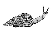 Animals in zentangle doodle style, an Illustration by Tierre3012 (Thumbnail 17 of 23)