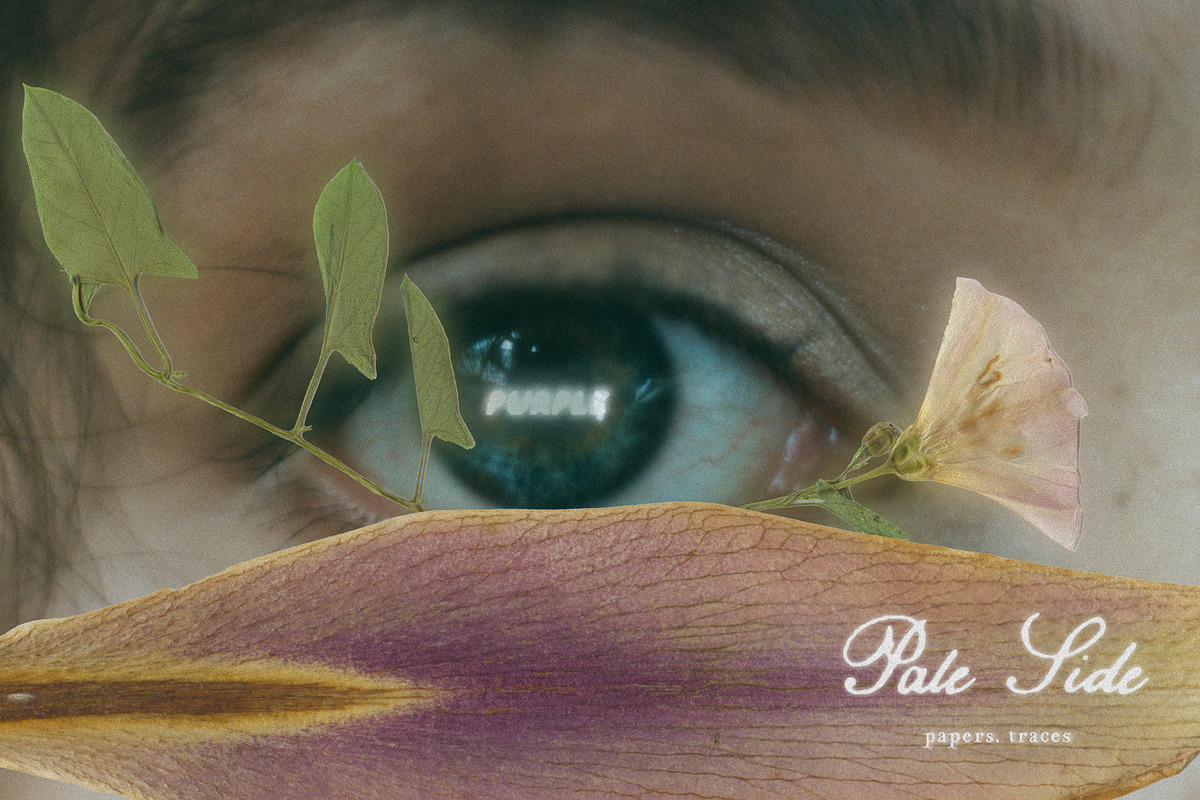 Pale Side: Papers, Flowers & Traces, an Object Graphic by Purple (Photo 15 of 16)