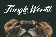 Belligerent Script Style, a Script Font by Typevora Studio (Thumbnail 2 of 8)