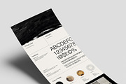 Iceland - Brand Board Template, a Branding & Logo Template by Rare Studio (Thumbnail 2 of 3)