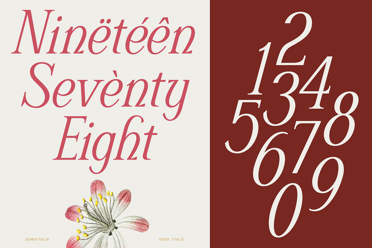 Schriftolia — Elegant Serif Italic, a Serif Font by Invasi Studio (Photo 5 of 12)