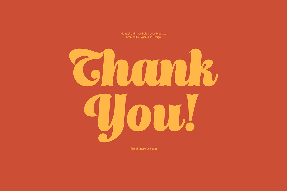 Montleire, a Serif Font by ilhamtaro (Photo 11 of 11)