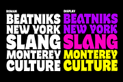 Freitag - 16 fonts, a Serif Font by Zetafonts (Thumbnail 2 of 10)