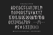 Molarois Wluzeg Playful Serif Font, a Serif Font by Maulana Creative (Thumbnail 5 of 7)