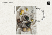 YJ Handful of Sunshine, a Script Font by YENTY JAP CO (Thumbnail 19 of 20)