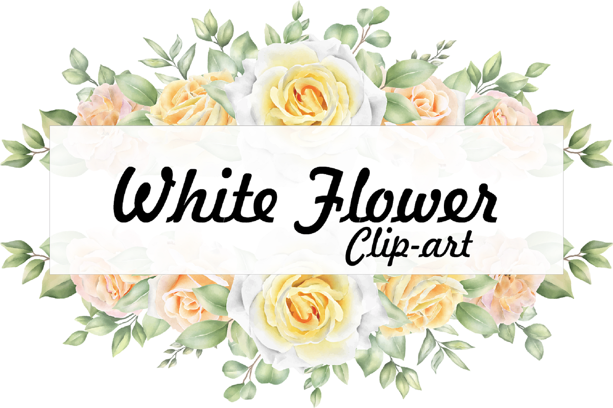 Watercolor White Floral Clipart Set, an Illustration by Digi_Design_World (Photo 1 of 5)