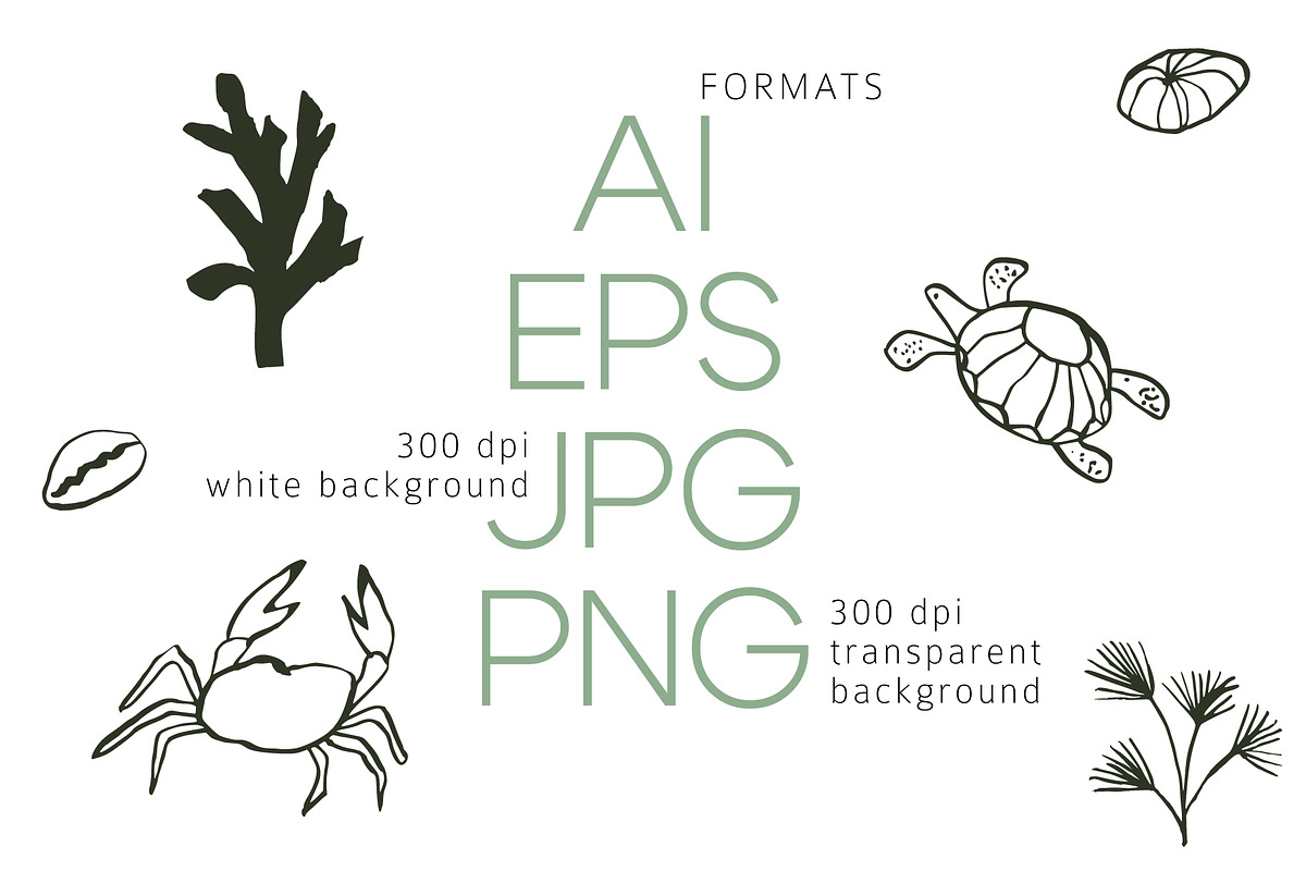 INKED SEALIFE hand drawn vector set, an Animal Illustration by Lena Nikolaeva (Photo 8 of 11)