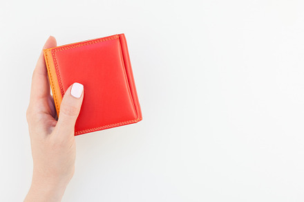Woman hand with red wallet isolated, a Beauty & Fashion Photo by Dvoevnore photos