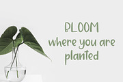 Strawberry Jam. Brush Font., a Script Font by Sentimental postman (Thumbnail 4 of 6)