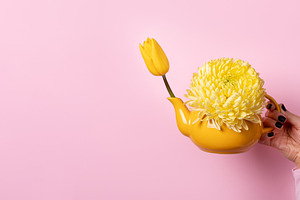 Hand holding yellow teapot with yellow tulip and chrysanthemum o, a Food & Drink Photo by Ales Munt