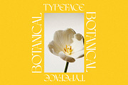 Perennial - Elegant & Ligature Sans, a Sans Serif Font by Mikhail Kitsune (Thumbnail 3 of 9)