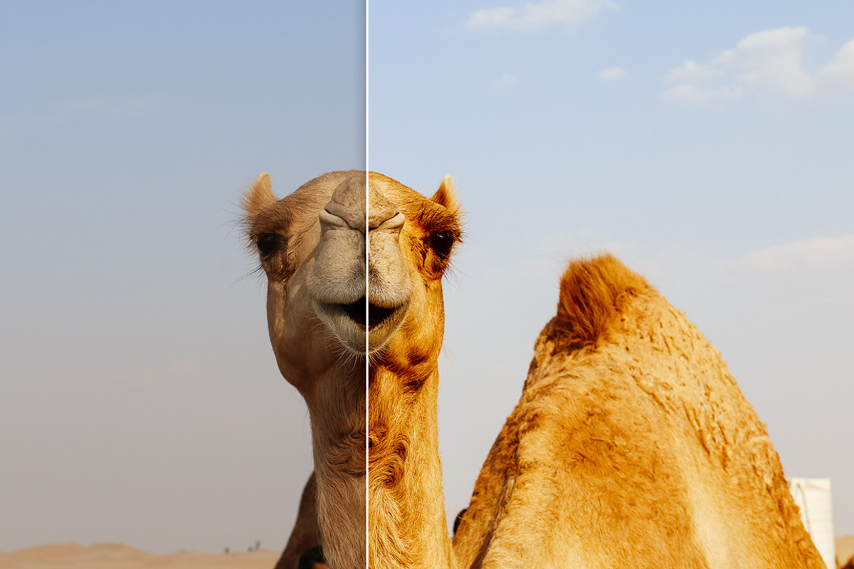 Emirates - Premium Lightroom Presets, an Action Add-On by PhotoMarket (Photo 44 of 65)