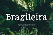 Brazileira - Slab Serif Font, a Slab Serif Font by Sketchetarian (Thumbnail 1 of 10)