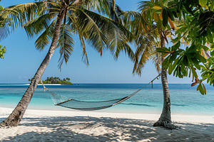 Beach hammock hanging between palm trees, a Nature Photo by AlyaAnd