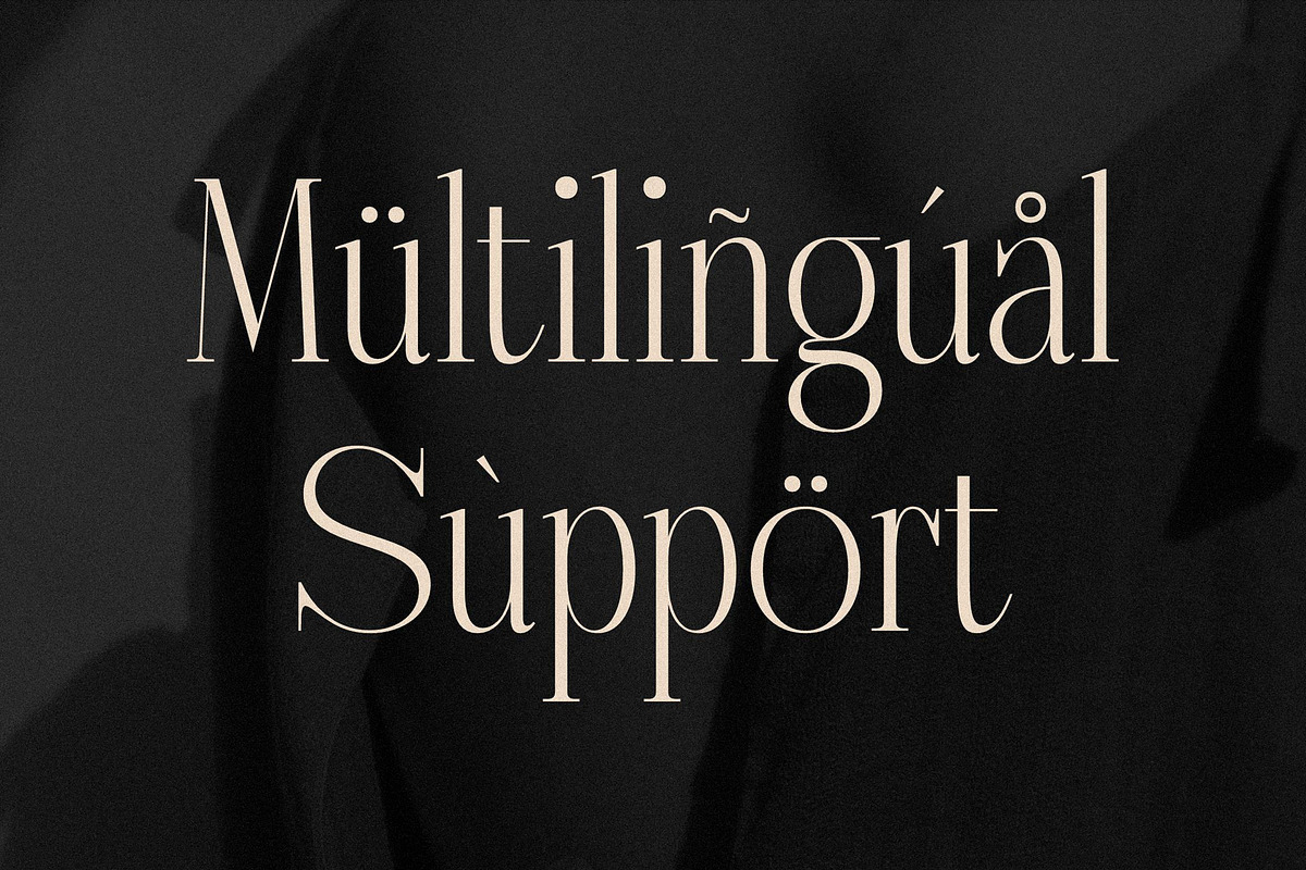 Nebiard Classic Serif Font, a Serif Font by Storytype Studio (Photo 11 of 15)