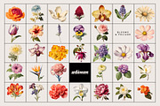 BOOK OF FLOWERS 2 Clipart, an Object Graphic by angelainthefields (Thumbnail 3 of 13)