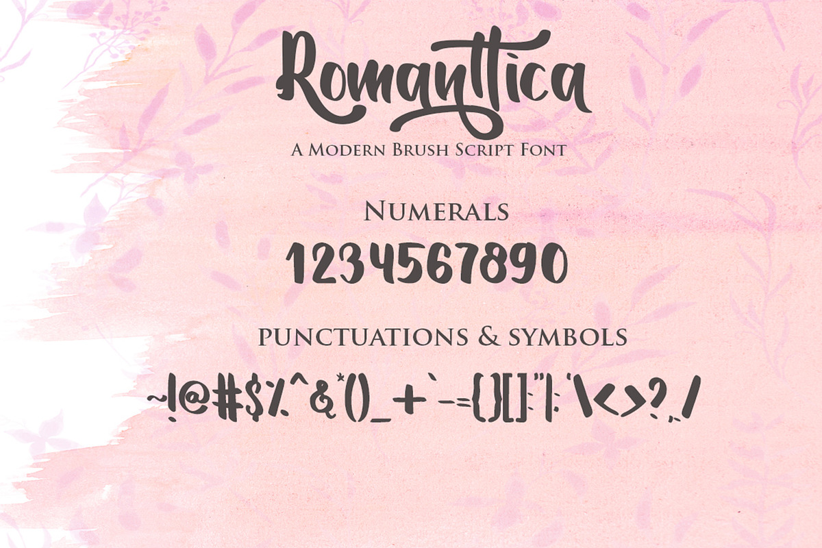 Romanttica-Lovely Brush Script Font, a Script Font by Dm Studio (Photo 9 of 12)