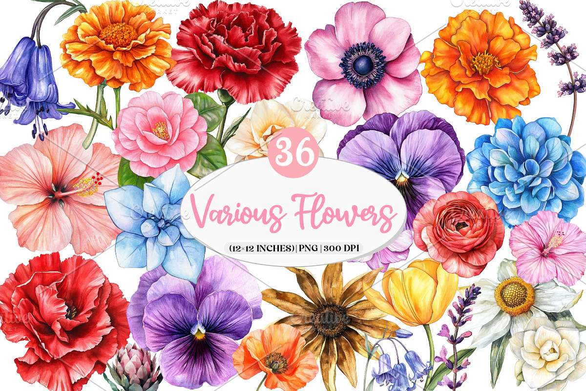 Various Flowers Clipart, an Illustration by Watercolor design (Photo 1 of 4)
