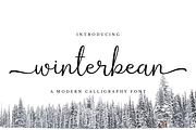 Winterbean - Modern Calligraphy Font, a Script Font by Sibelumpagi Studio (Thumbnail 1 of 12)