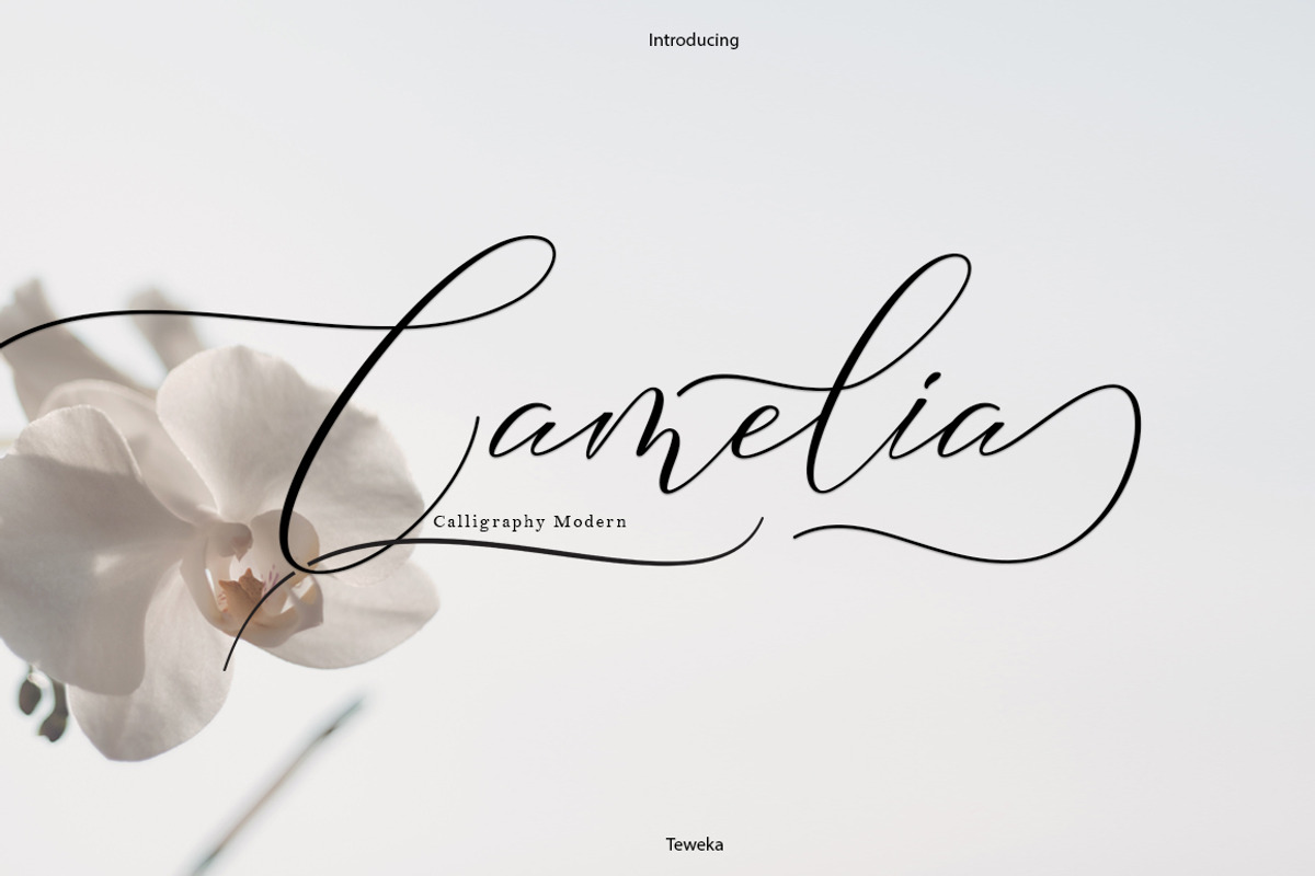 Camelia