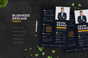 Blues Business Resume