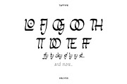Amynova - Script Sans Serif Display, a Slab Serif Font by Vesvocrea (Thumbnail 9 of 10)