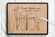 Procreate Botanical Stamps Bundle, a Brush Add-On by Little Nordic Atelier (Thumbnail 3 of 13)