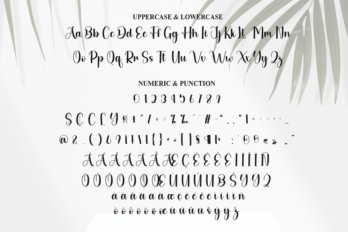 Angelic | Script Font, a Handwritten Font by Scratchones (Photo 7 of 9)