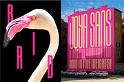 Joya Sans V2 - Condensed Font Family, a Sans Serif Font by BTYPE (Thumbnail 2 of 17)