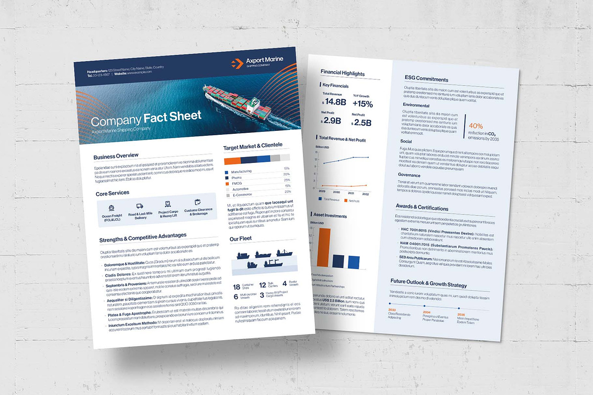 Fact Sheet Template, a Flyer Template by BrandPacks