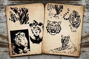 Lion and tiger logo, an Icon by AnastasiyaOleynik (Thumbnail 6 of 6)