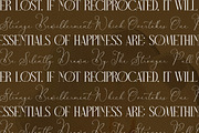 Narque Holden Gold Font Duo, a Serif Font by Storytype Studio (Thumbnail 8 of 15)