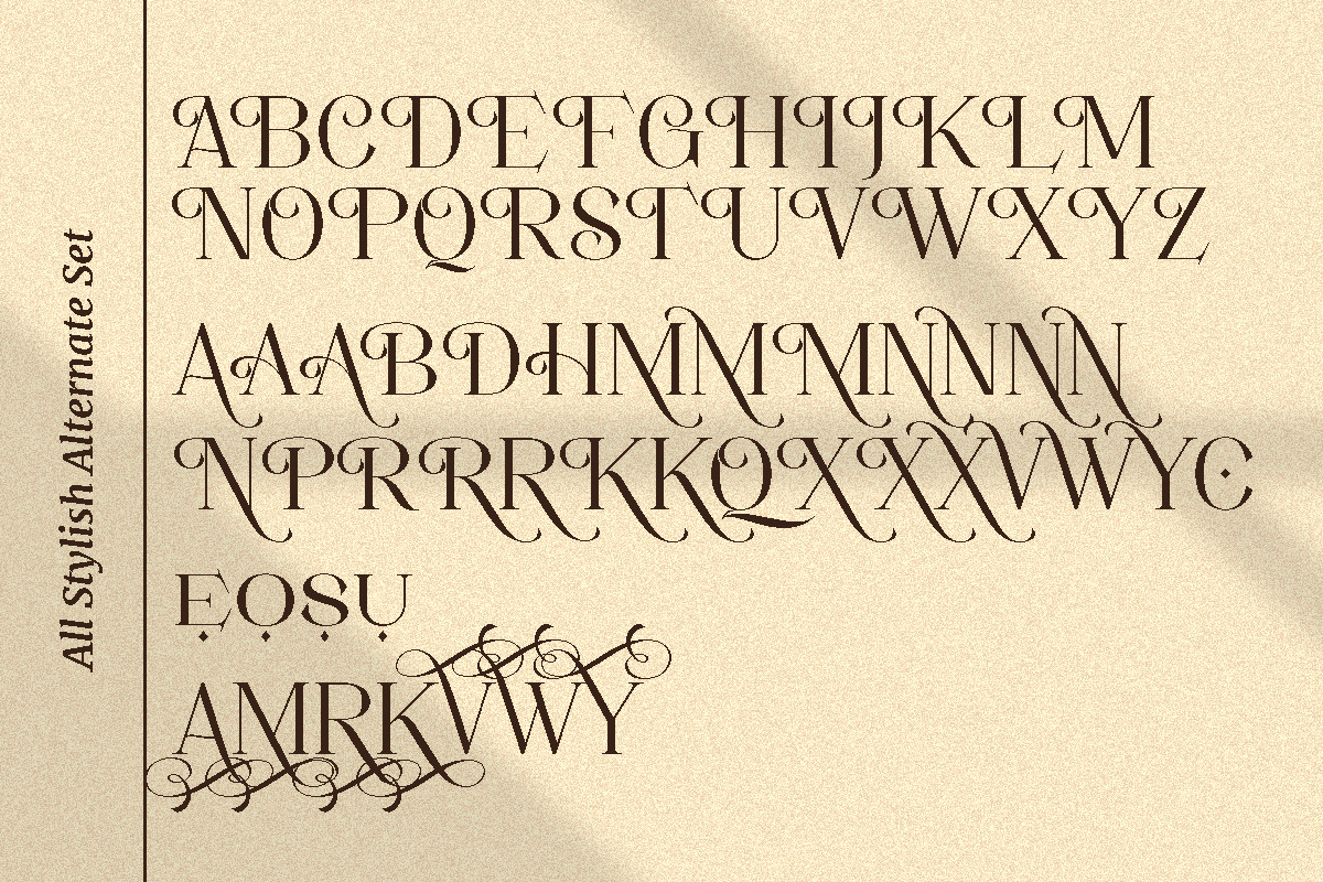 Movich | Uniquely Serif Font, a Serif Font by anOra.std (Photo 10 of 12)