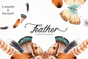 Feather Watercolor Collection