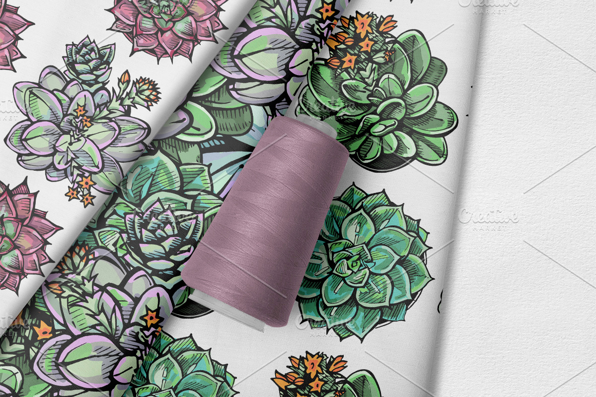 6 seamless patterns with succulents, a Pattern Graphic by AV Design (Photo 5 of 8)