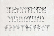 90 Botanical Stamps for Procreate, a Brush Add-On by Kiap (Thumbnail 2 of 6)