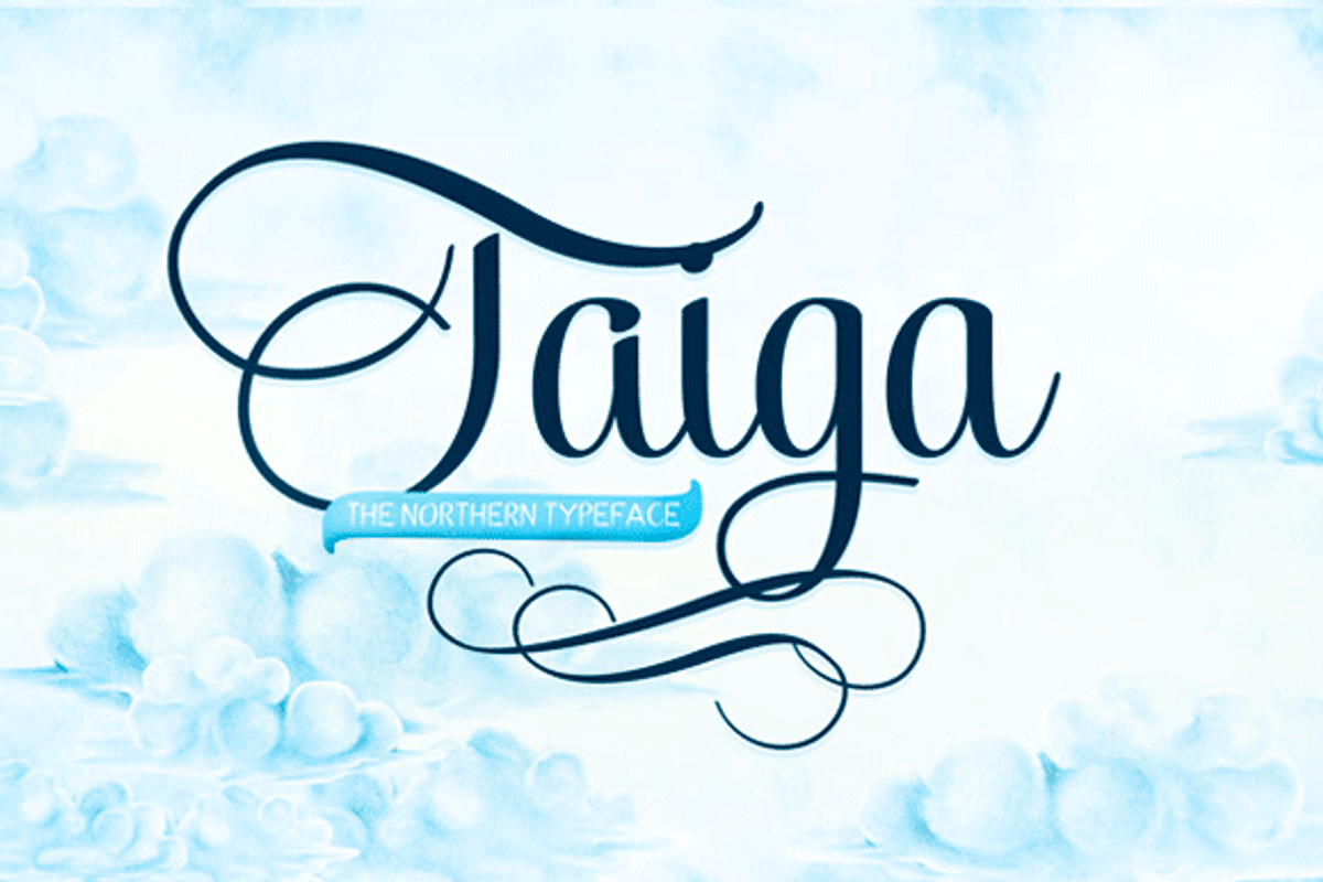 Taiga -60% off!