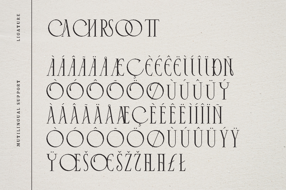 Cyrano - Unique Serif Typeface, a Serif Font by Dharmas Foundry (Photo 15 of 16)