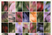 Garden Haze - Blurry Backgrounds, a Background Graphic by Dina Mae (Thumbnail 13 of 14)