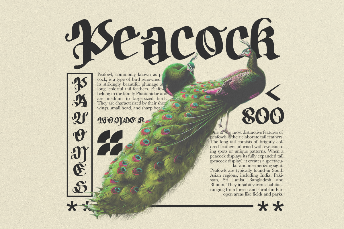 Bodywork - Modern Blackletter, a Blackletter Font by Dharmas Foundry (Photo 10 of 15)