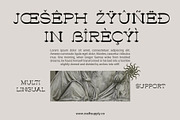 Ludowise – Contemporary Serif, a Serif Font by Craft Supply Co. (Thumbnail 5 of 8)