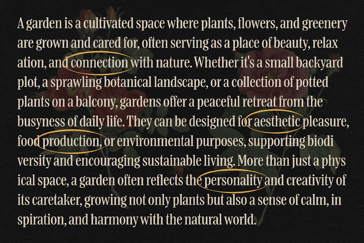 Boldentia, a Serif Font by graphicook (Photo 9 of 10)