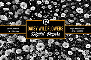 Black & White Daisy Wildflower Paper, a Pattern Graphic by Creative Store (Thumbnail 1 of 4)